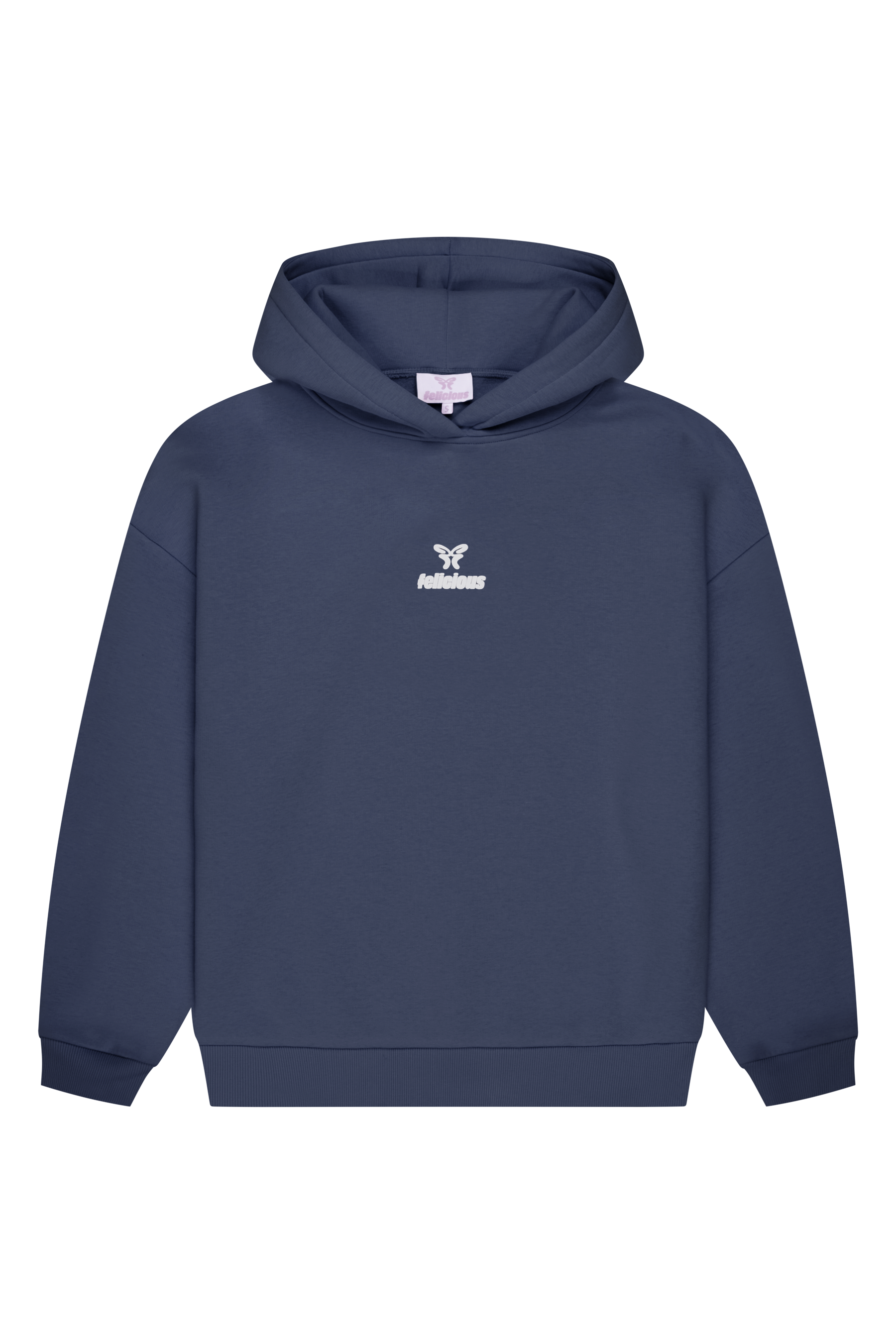 Basic Logo Hoodie Stone Blue