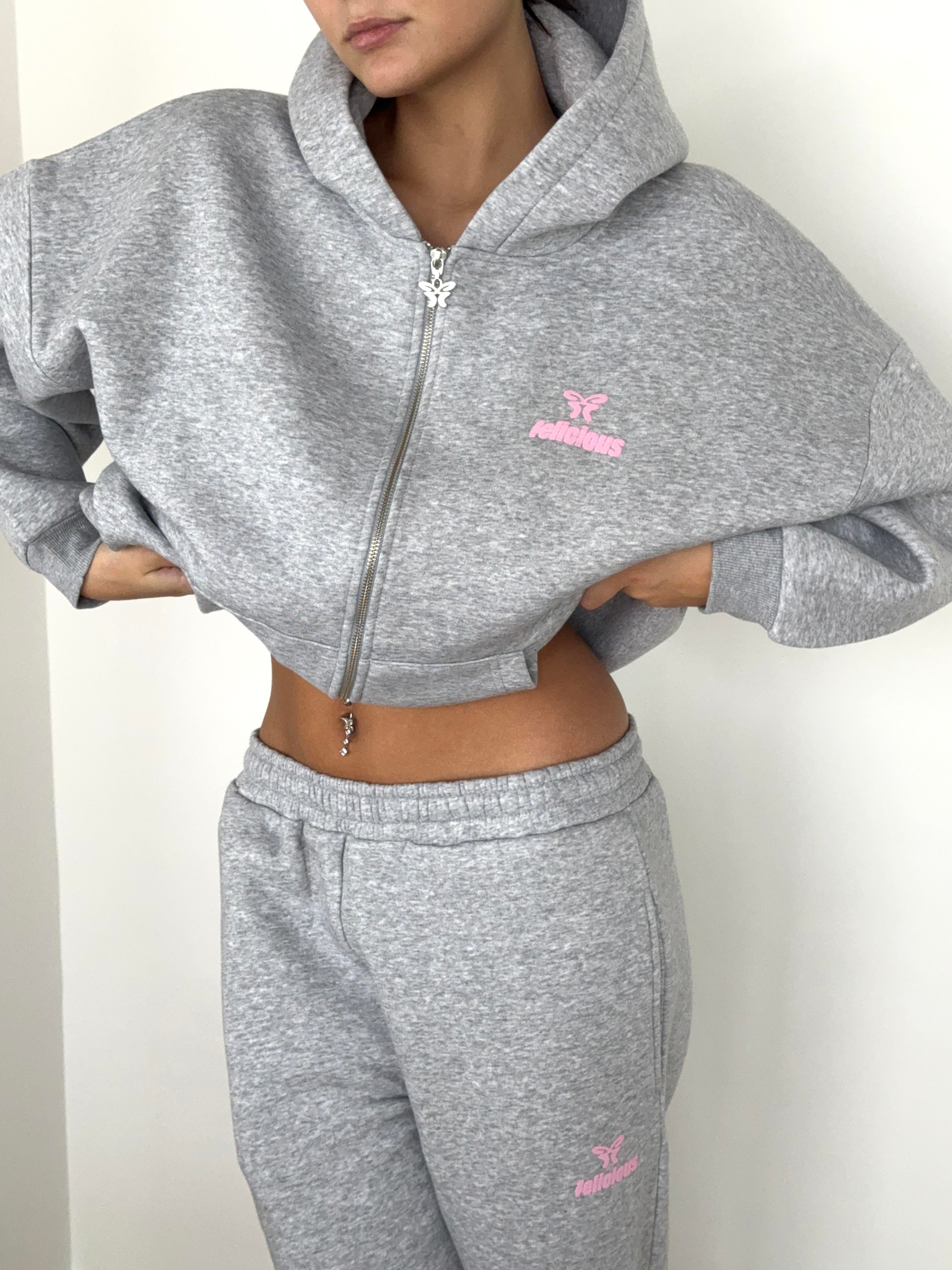 Basic Logo ZIP-Hoodie Light Grey